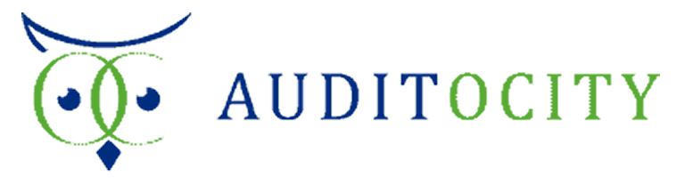 Auditocity Logo