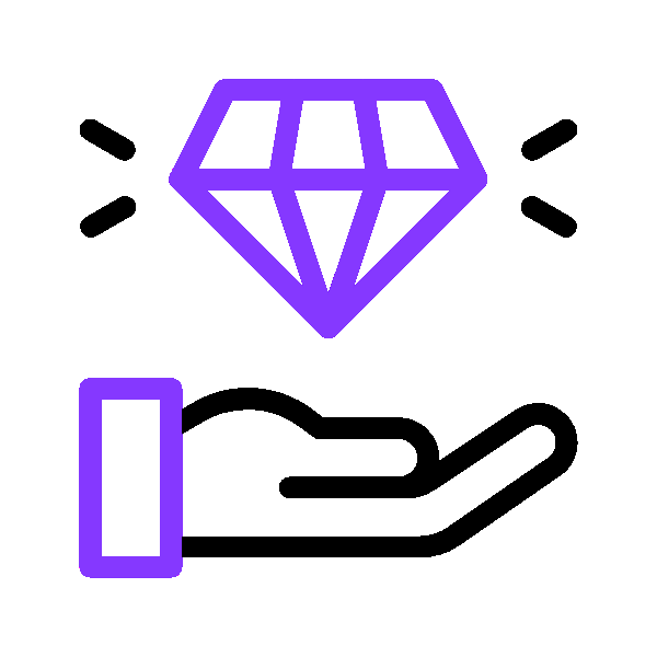 Value Added Services Icon